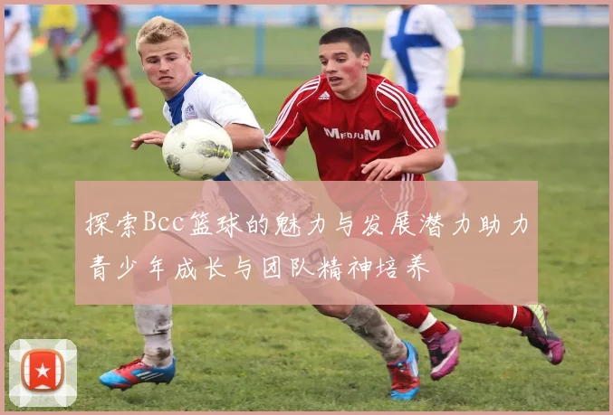探索Bcc篮球的魅力与发展潜力助力青少年成长与团队精神培养