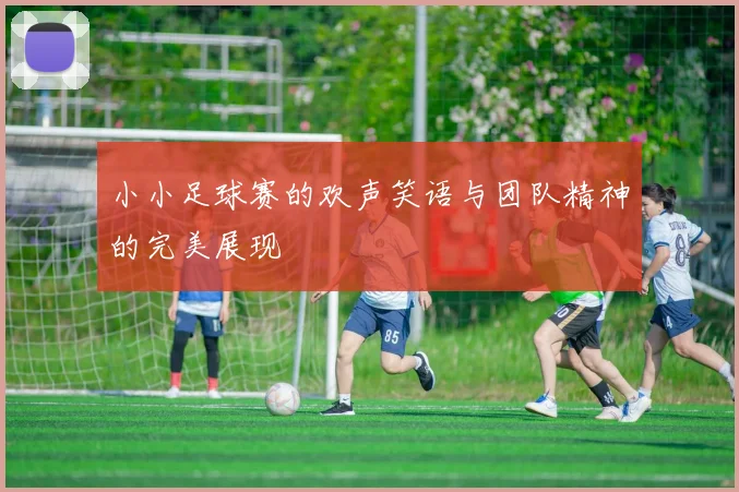 小小足球赛的欢声笑语与团队精神的完美展现