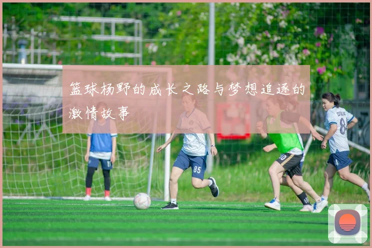 篮球杨野的成长之路与梦想追逐的激情故事