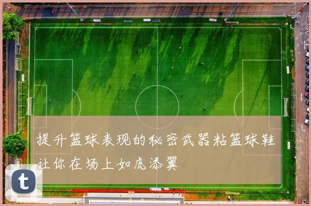 提升篮球表现的秘密武器粘篮球鞋让你在场上如虎添翼