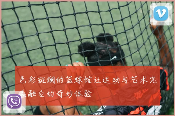 色彩斑斓的篮球馆让运动与艺术完美融合的奇妙体验