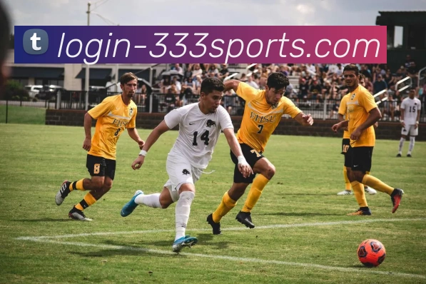 333平台服务体系